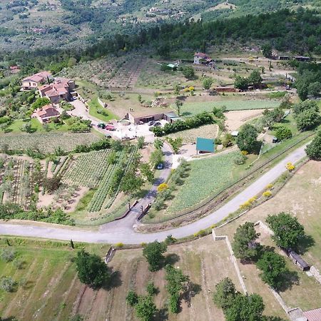 Agriturismo Villa Iris Castelfranco di Sopra Extérieur photo