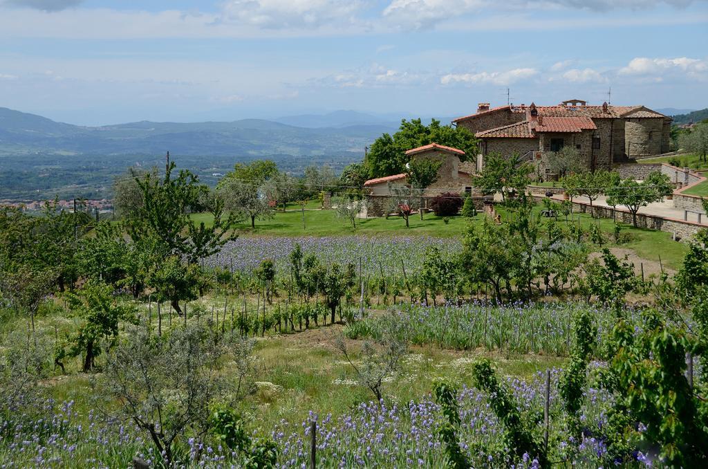 Agriturismo Villa Iris Castelfranco di Sopra Extérieur photo