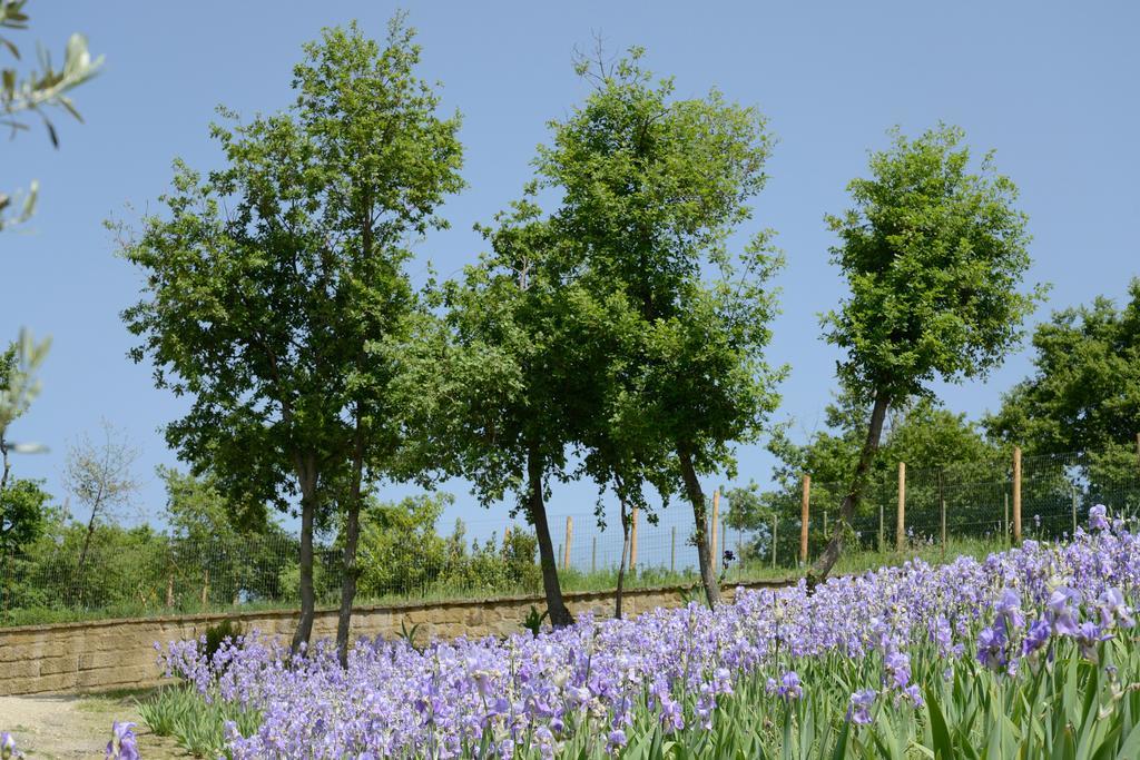 Agriturismo Villa Iris Castelfranco di Sopra Extérieur photo