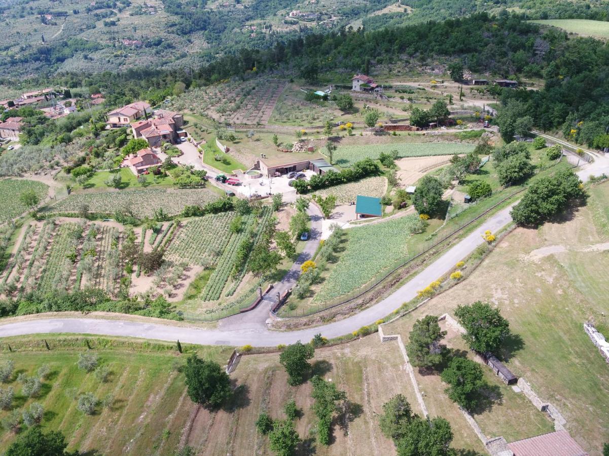 Agriturismo Villa Iris Castelfranco di Sopra Extérieur photo